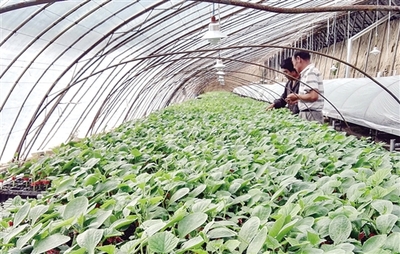 紀(jì)念長征勝利80周年特別報道:昔日長征路 今朝換新顏