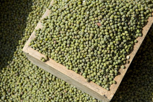 地理老師雷亞鳴 陜西11個(gè)產(chǎn)品納入中歐地理標(biāo)志協(xié)定,快看看有沒有你家鄉(xiāng)特產(chǎn)